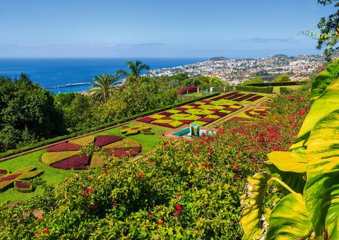 Botanischer Garten bei Funchal