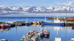 Der malerische Hafen von Akureyri - Island