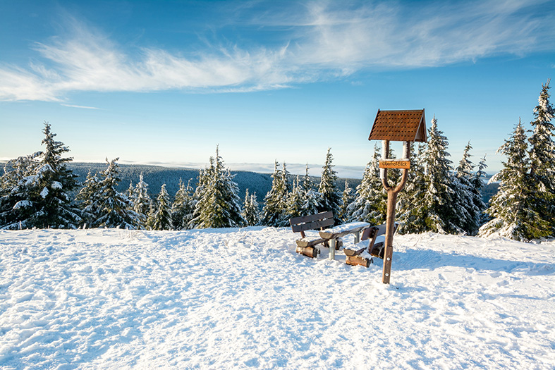 Weihnachten im beschaulichen Oberhof szReisen Reisen Sie mit uns