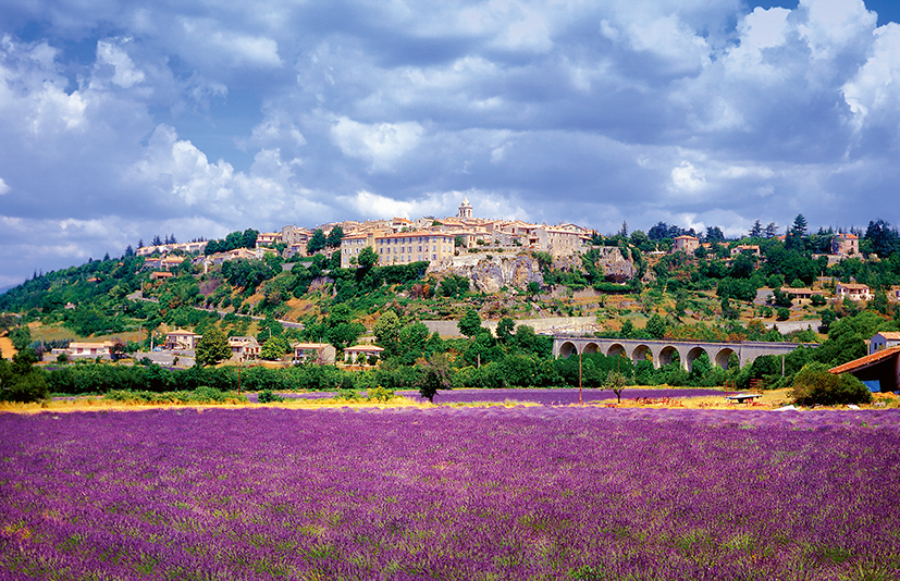 Provence Bluhender Garten Der Liebe Sz Reisen Reisen Sie Mit Uns Um Die Ganze Welt