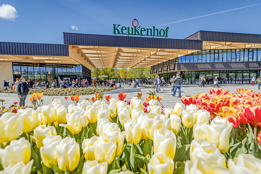 Niederlande Tulpenbunt Und Delfter Blau In Holland Sz Reisen Reisen Sie Mit Uns Um Die Ganze Welt