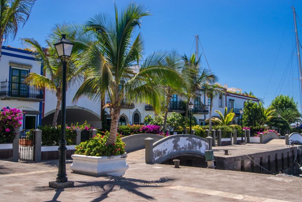 Gran Canaria Winter Oder Herbst Egal Hauptsache Fruhling Sz