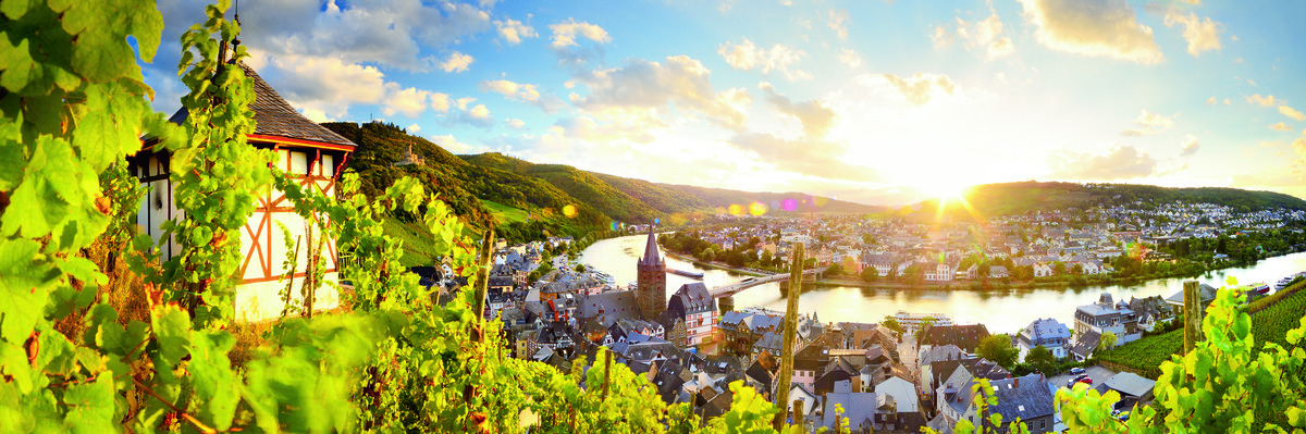Bernkastel-Kues Weinberge Mosel