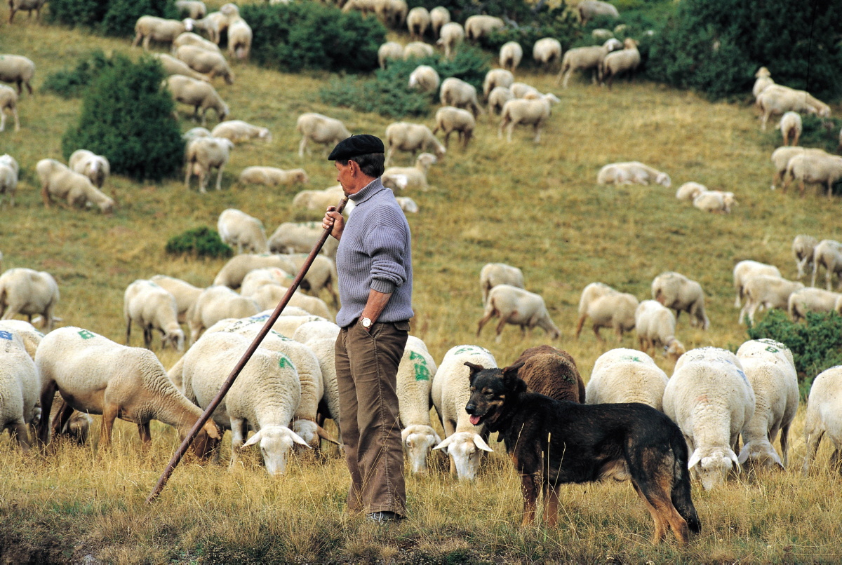 Phänomen Andorra - Paradies im Herzen Europas