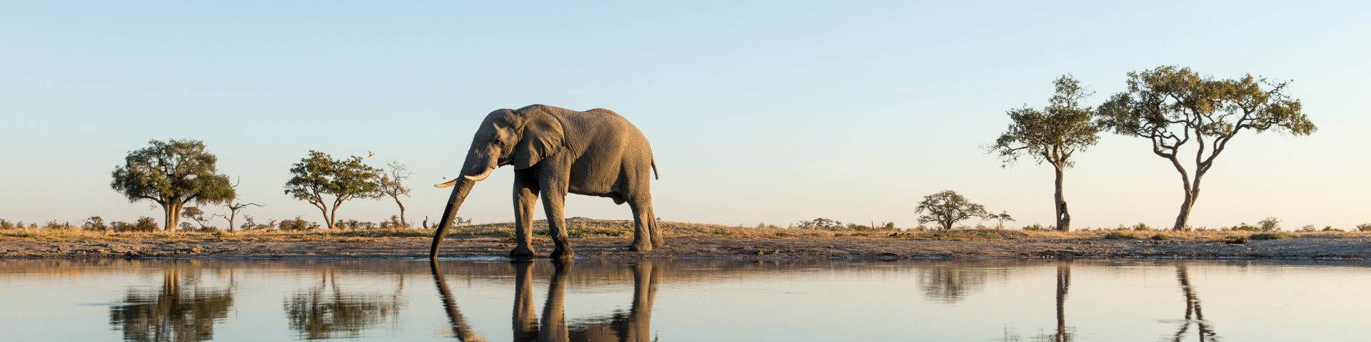Afrika