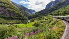 Flamsbana zwischen Flam und Myrdal