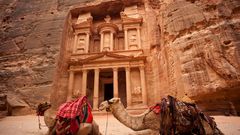 Petra mit Kamelen