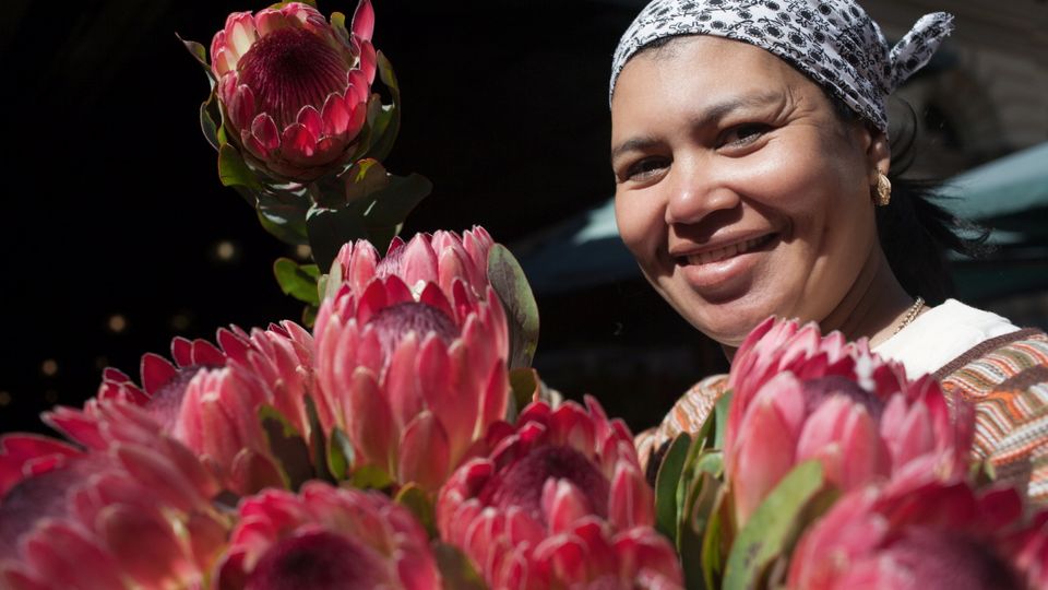 Blumenfrau am Western Cap