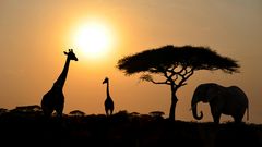 Sonnenuntergang im Nationalpark