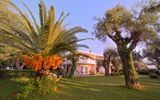 Blick in den Garten, Elea Beach Resort