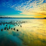 Winterlandschaft in Masuren