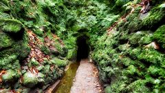 Tunnel der Wanderstrecke Levada Caldeirao Verde auf Madeira
