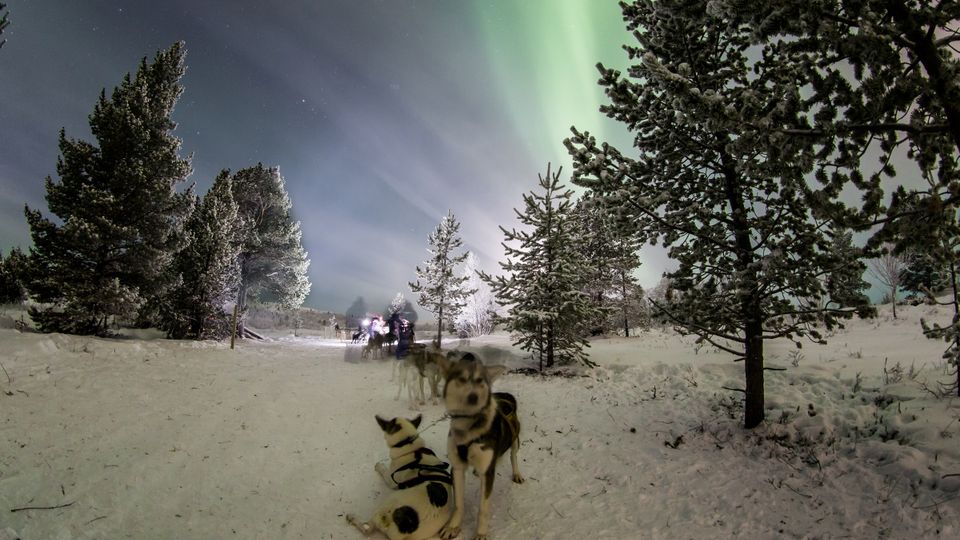 Nördliches Polarlicht - Aurora Borealis