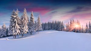 Winterlandschaft im Vogtland