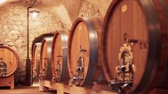 Kloster Neustift, Weinkeller
