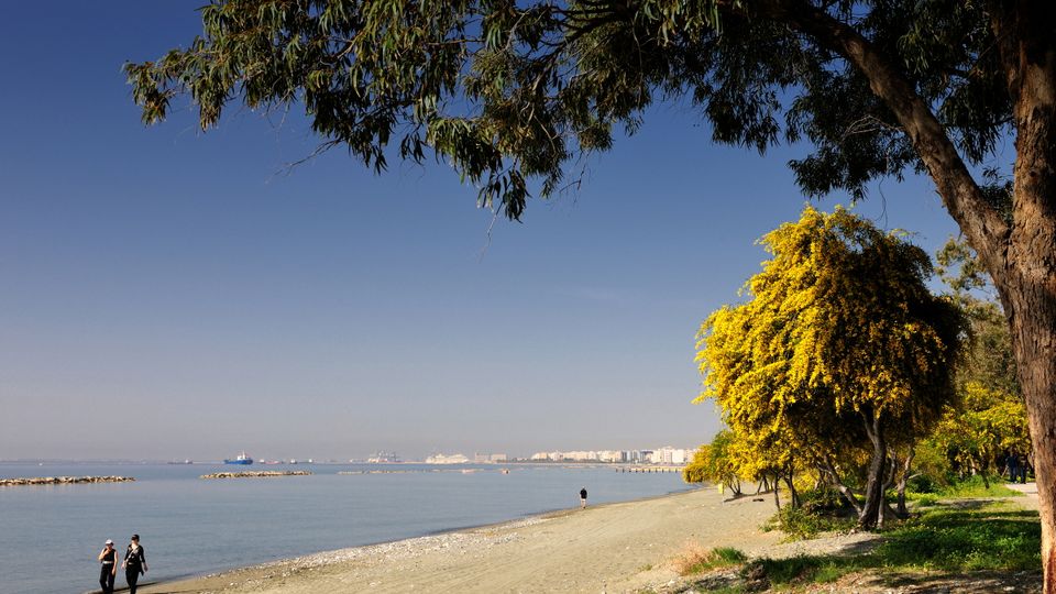 Dasoudi Strand in Limassol