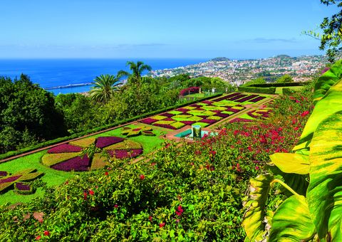 Botanischer Garten bei Funchal