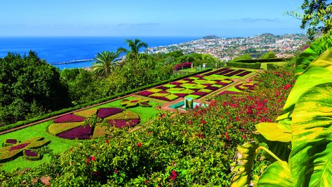 Botanischer Garten bei Funchal