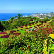 Botanischer Garten bei Funchal
