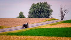 Amish People in Lancaster