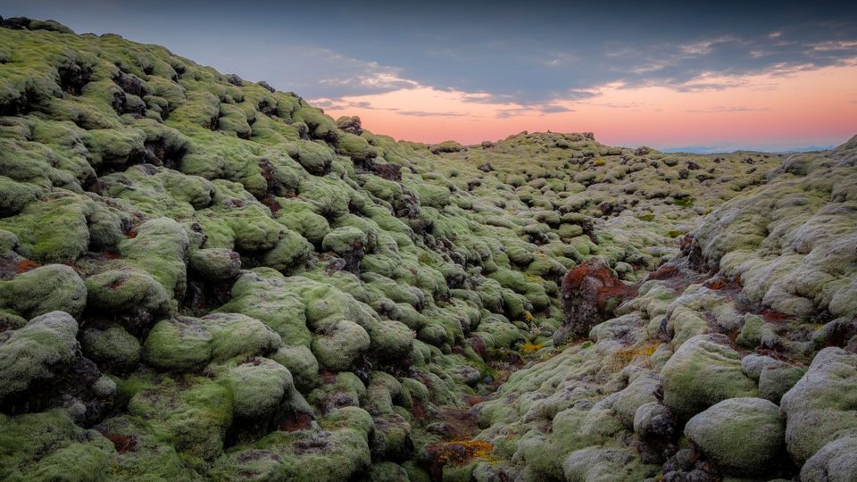 Lava Feld in Island