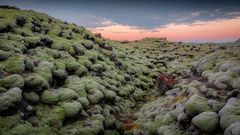 Lava Feld in Island