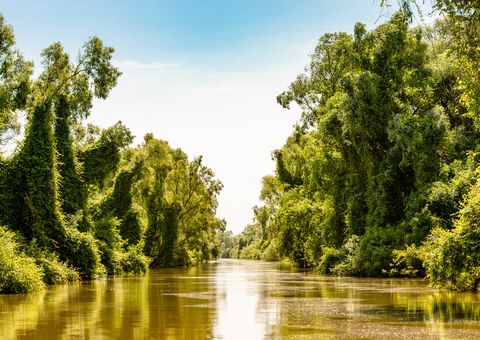 Donaudelta