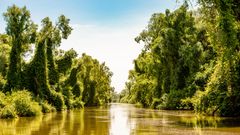 Donaudelta