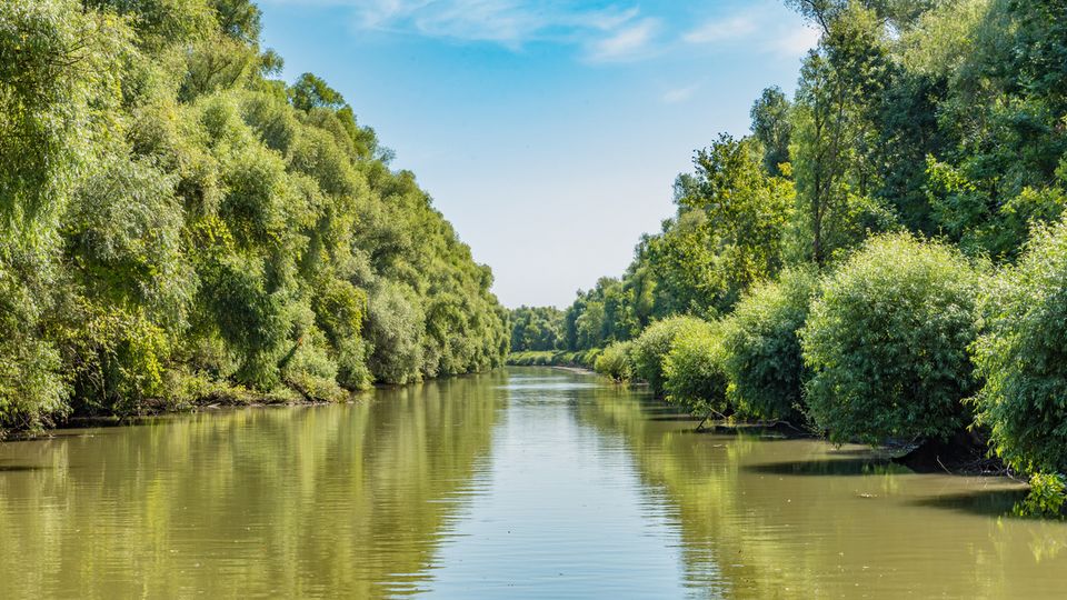 Donaudelta