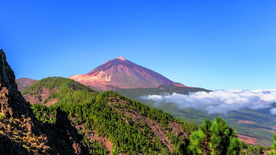 Blick auf den Teide und das Orotava Tal