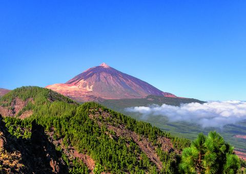 Blick auf den Teide und das Orotava Tal