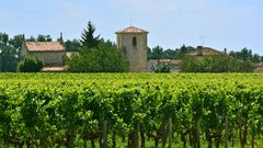 Saint-Émilion - Weinregion für Genießer