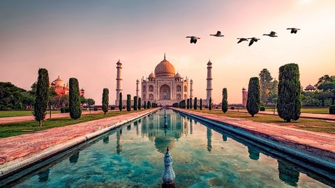 Taj Mahal mit Vögeln