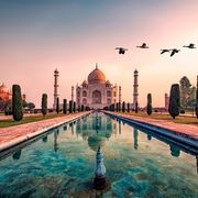 Taj Mahal mit Vögeln