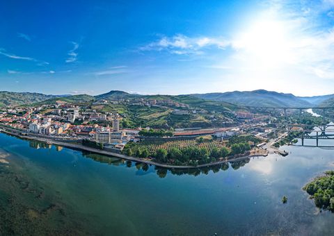 Weinberge am Duoro bei Pinhao