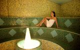 Sauna, Terme Dobrna