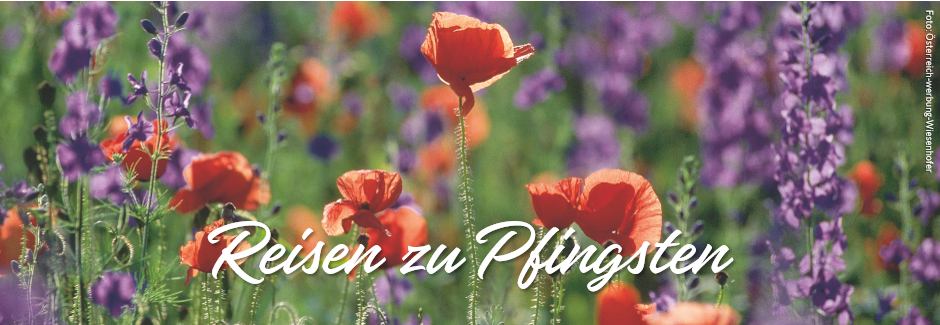Pfingstreisen 2023 | sz-Reisen