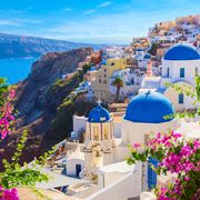 Blühpracht auf Santorin