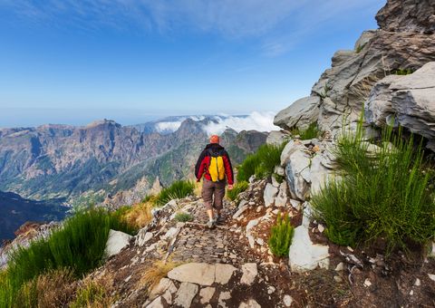 Auf Wanderung