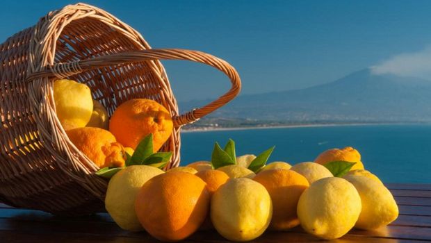 Sizilianische Zitronen, im Hintergrund der rauchende Ätna