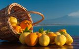 Sizilianische Zitronen, im Hintergrund der rauchende Ätna
