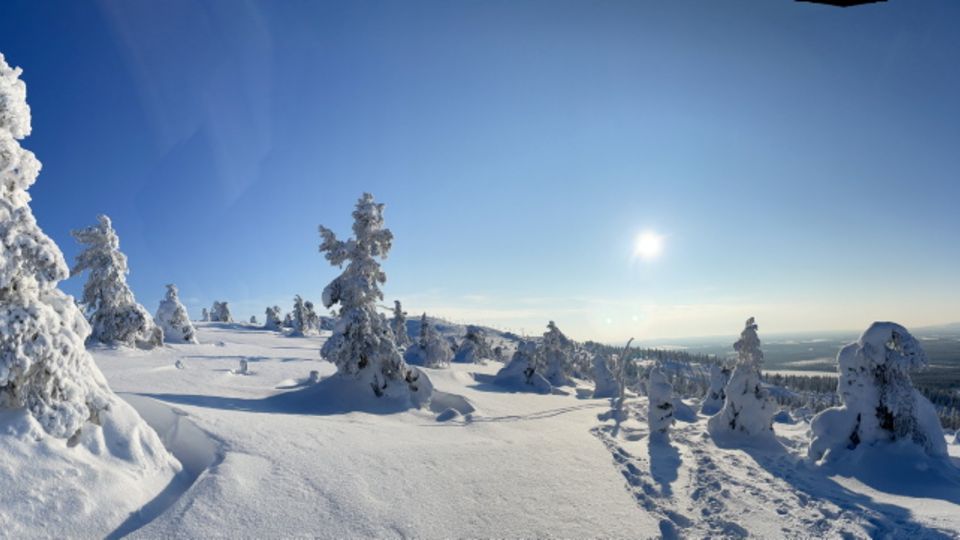 Panorama