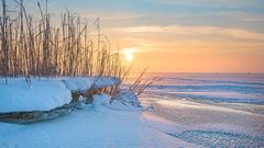 Ostfriesland im Winter