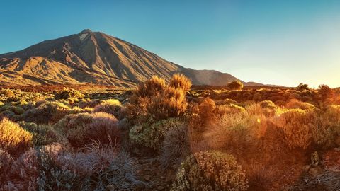 Flugreisen mit sz-Reisen | Landschaft auf Teneriffa