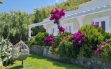 Hotel Albatros Garten mit Gartenmöbel und Pflanzen