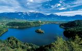 Bled