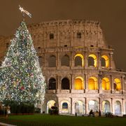 Weihnachtsbaum vor Kolosseum in Rom