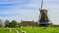 Windmühlen und Deich in Medemblik