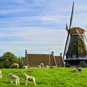 Windmühlen und Deich in Medemblik