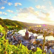 Bernkastel-Kues Weinberge Mosel